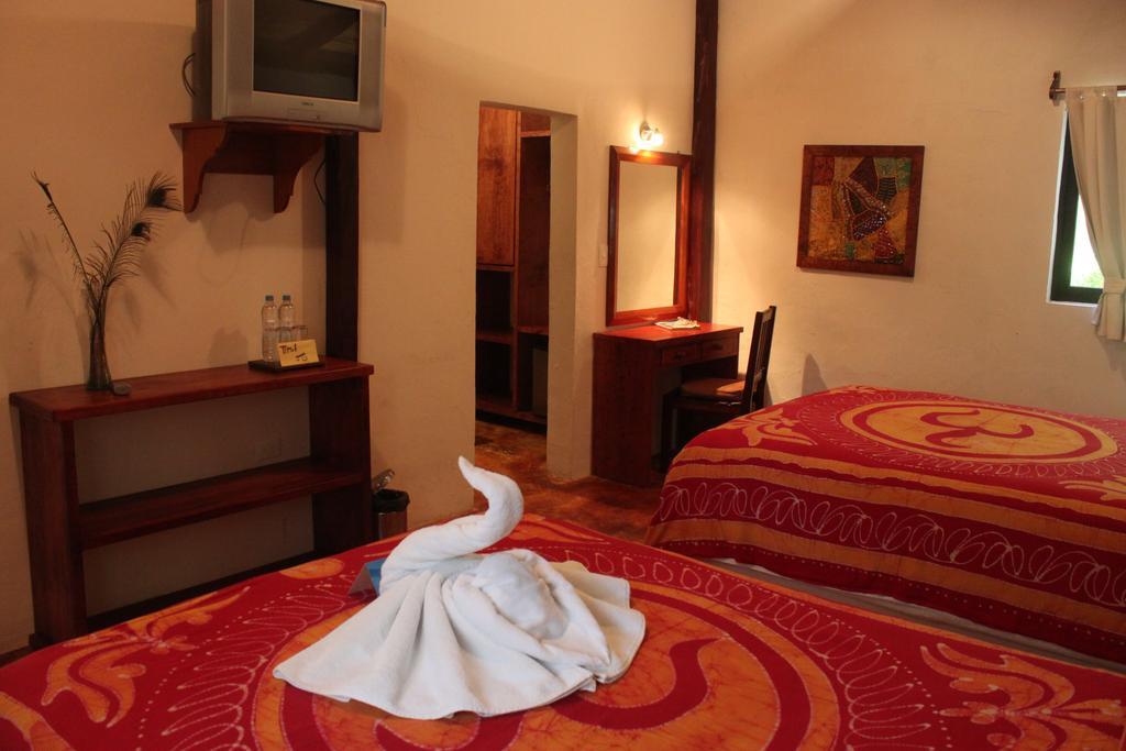 Fusion Beach Hotel Πλάγια Ντελ Κάρμεν Δωμάτιο φωτογραφία